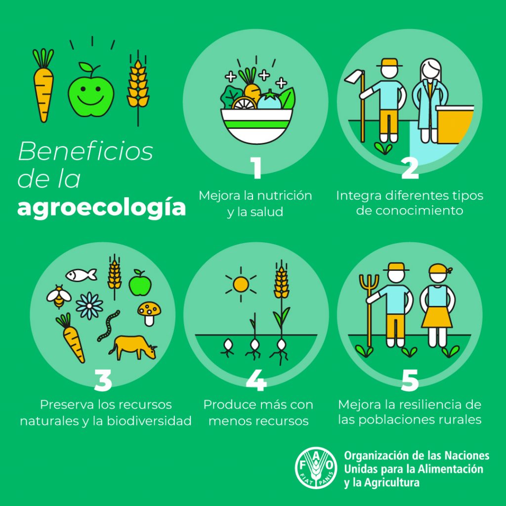 Proyectos Agroecol Gicos Mapa Para Encontrar Los M S Cercanos A Tu